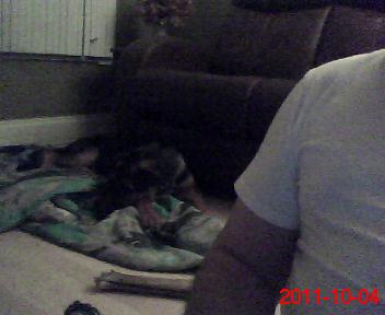 REx - Théo Il est a Saint-Hyacinthe en Montérégie