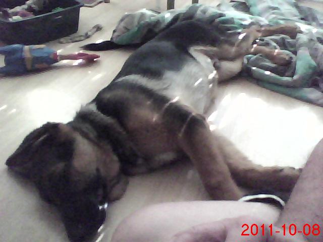 REx - Théo Il est a Saint-Hyacinthe en Montérégie